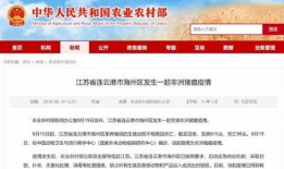 宜兴事件爆料最新消息,揭秘真相与后续影响