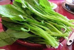 菠菜最新爆料新闻报道,揭秘菠菜界惊天秘密